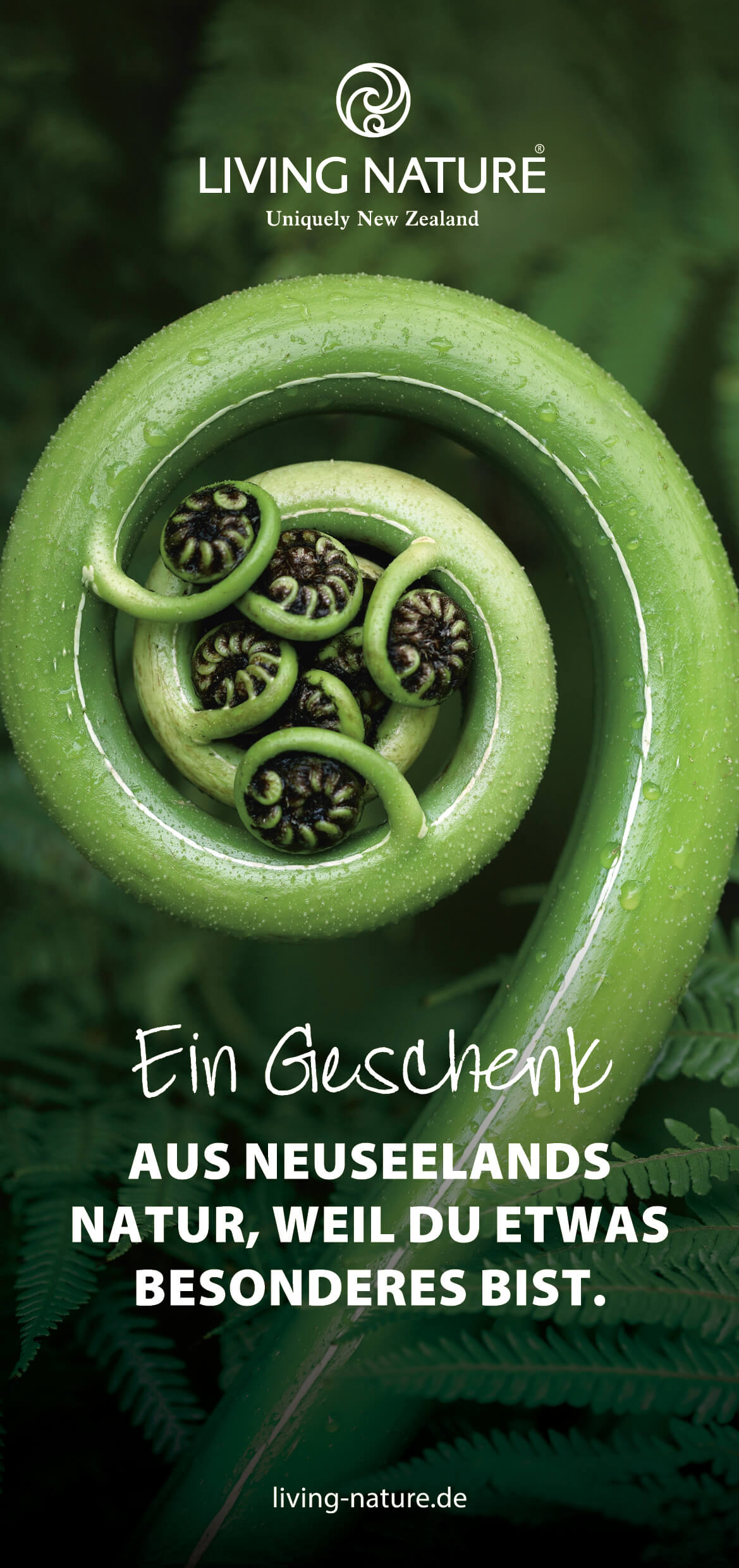 Vorderseite: längliche grüne Karte mit einem Farnkringel mit kleinen Samen. Weiße Schrift mit einem Spruch und Logo