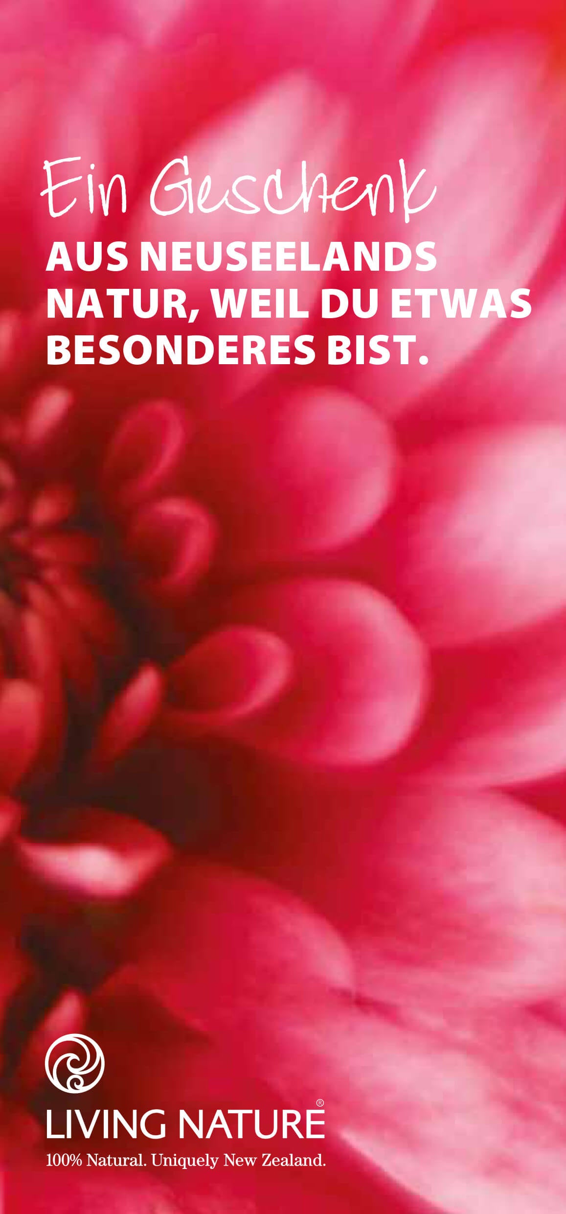 Vorderseite: länglicher roter Gutschein mit einer großen roten Blüte. Darauf weiße Schrift mit einem Spruch und Logo